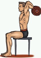 exercise man - Tricep French Press exercise man - Tricep French Press