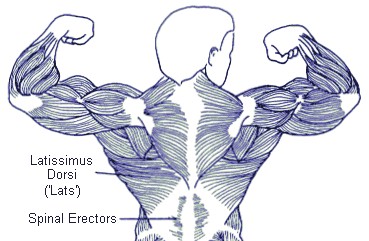 lats-guy lats-guy